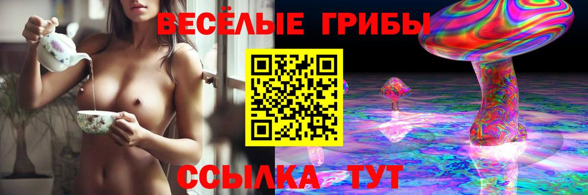 Черногорск  Галлюциногенные грибы Psilocybine cubensis  Вход с VPN 