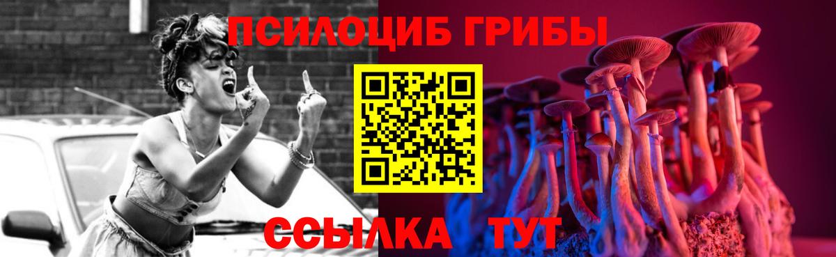 Псилоцибиновые грибы прущие грибы Черногорск